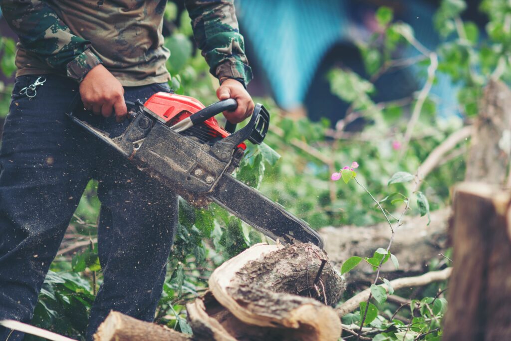 asian-man-cutting-trees-using-electrical-chainsaw-min