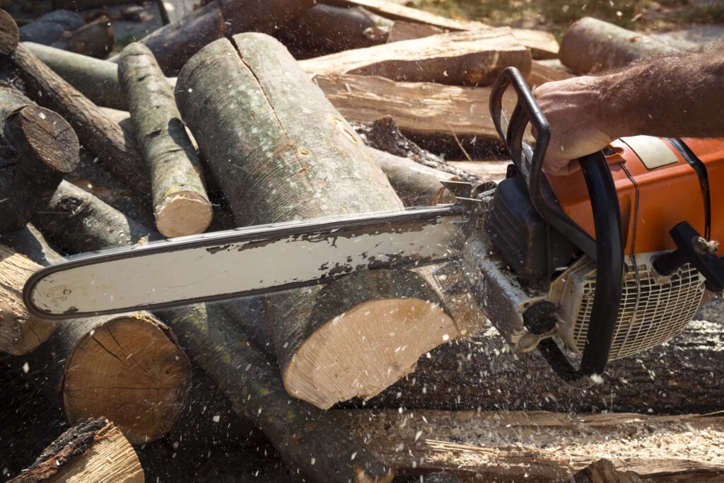 lumberjack-cutting-wood-with-chainsaw-min