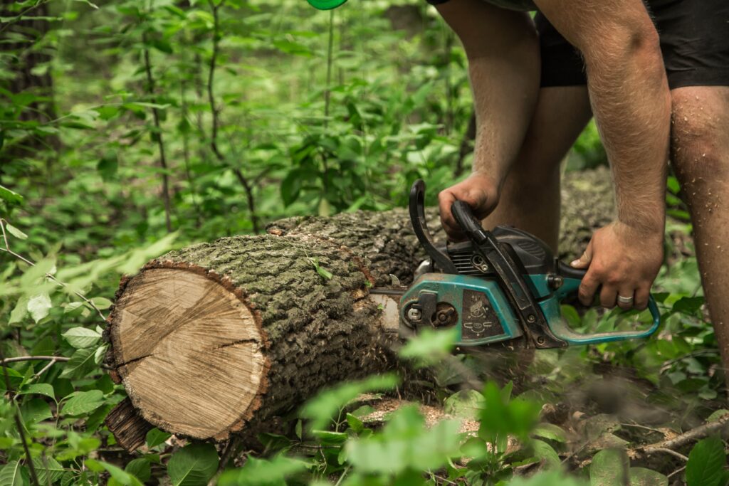 man-with-chainsaw-cuts-tree-min
